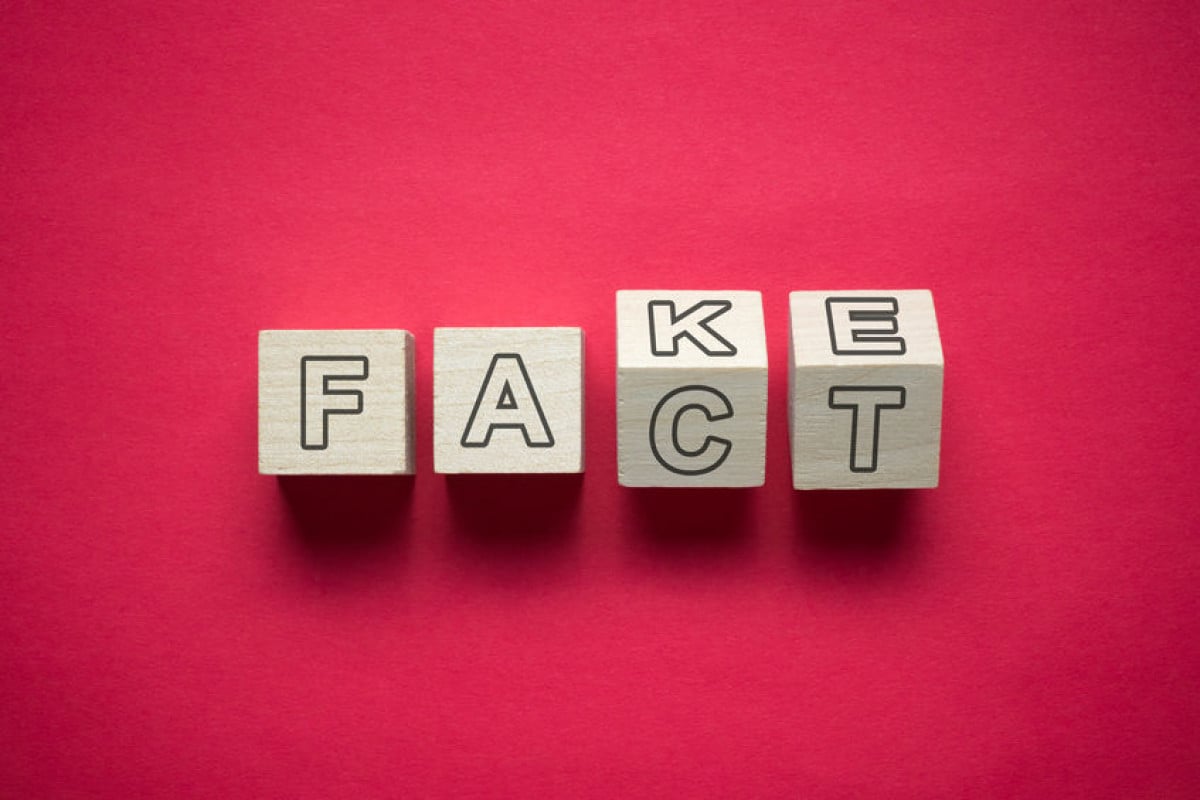 Il nuovo reato: il Deepfake