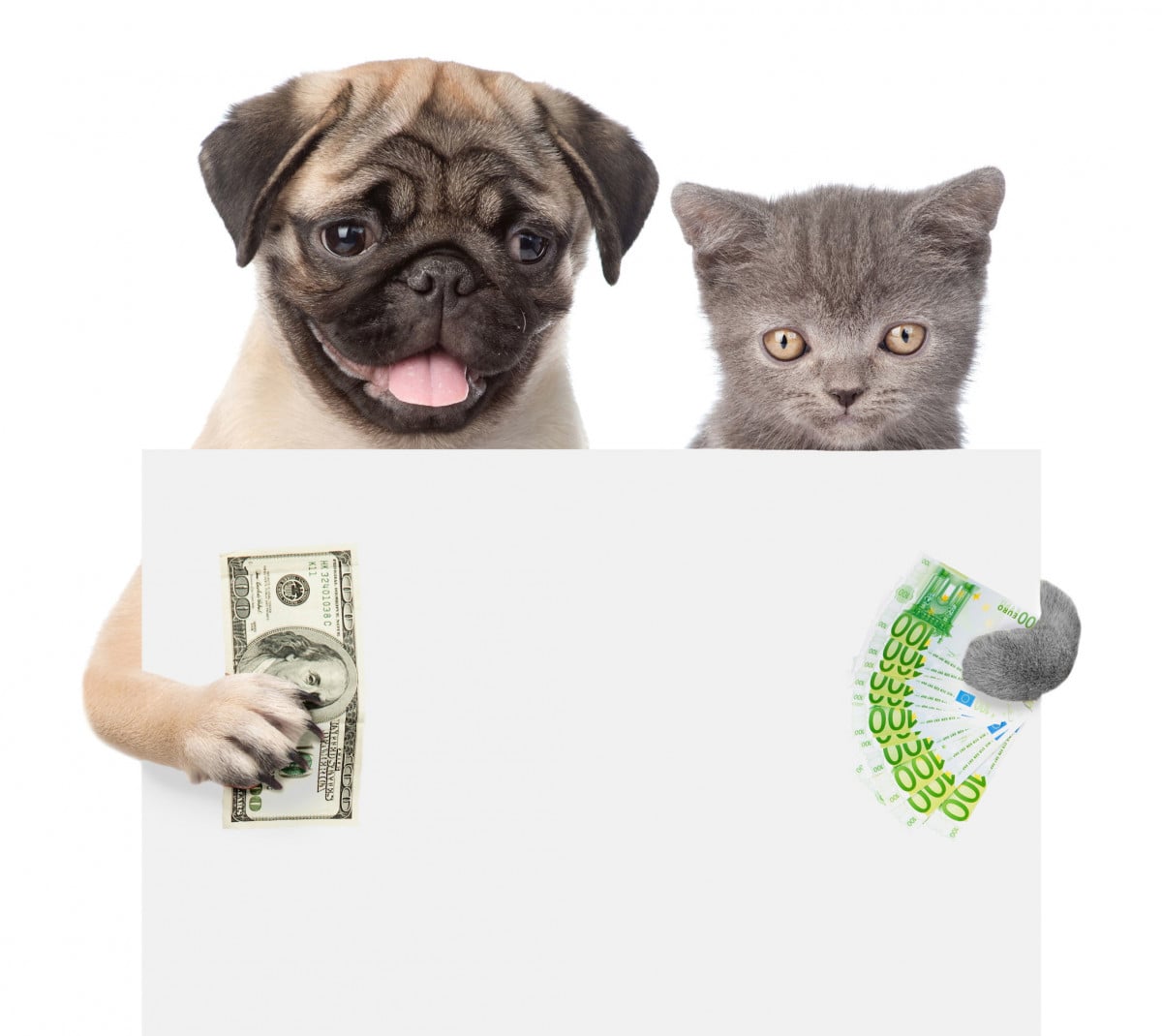 Bonus animali per chi è in difficoltà