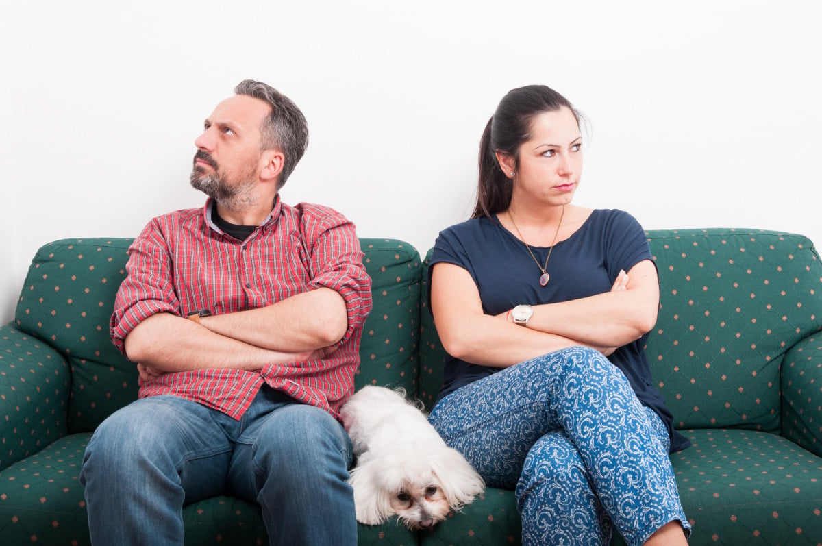 Separazione: l'animale di casa a chi spetta?