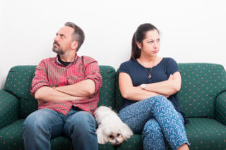 Cassazione: affido del cane a lui se lei non prova un legame affettivo