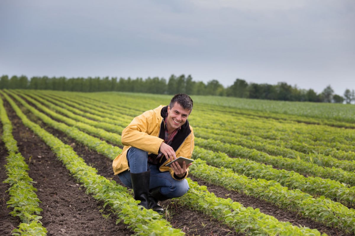 Sgravio contributi per agricoltori under 40