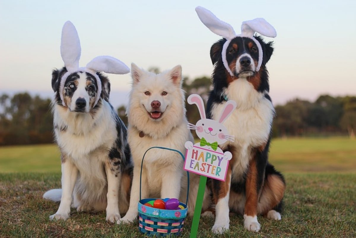 Buona Pasqua!