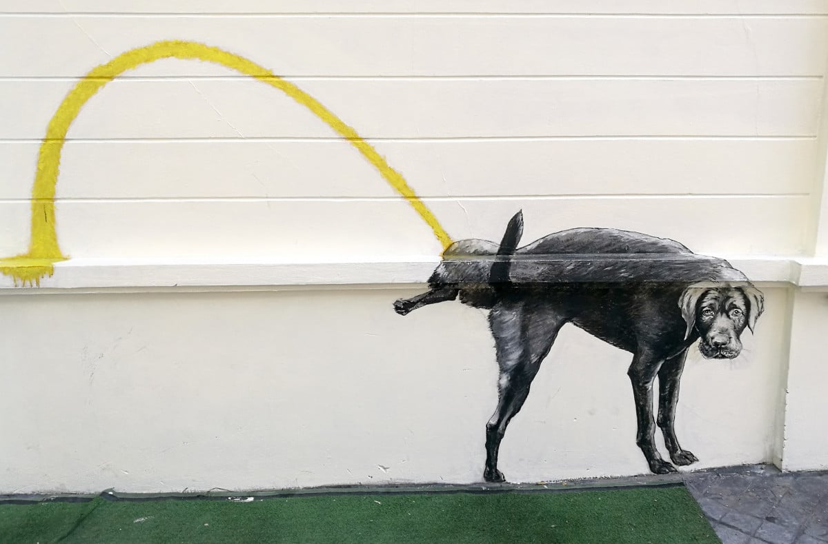 Genova, multe salate per la pipì di Fido