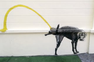 Genova, multe salate per la pipì di Fido